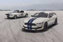Shelby GT350 Heritage Edition Pack