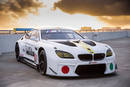 BMW M6 GTLM Art Car par John Baldessari