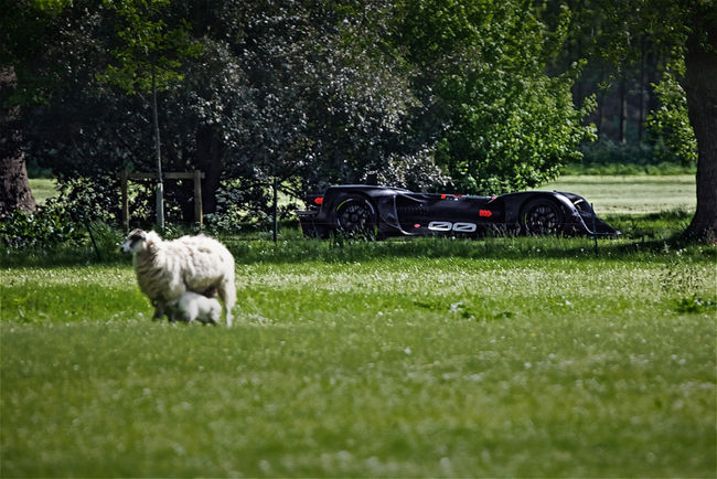 La Robocar en piste à Goodwood pour une première