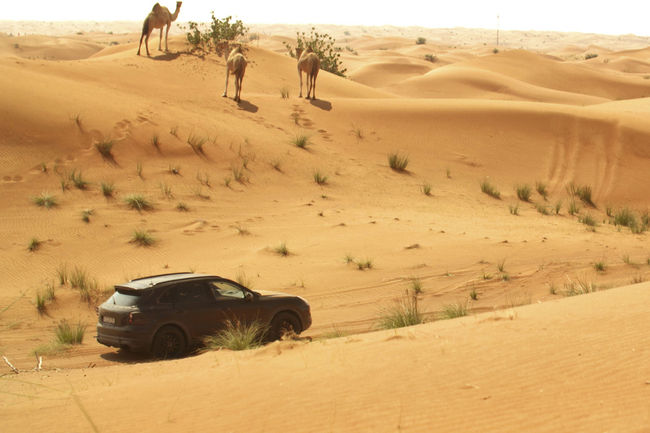 Le nouveau Porsche Cayenne en approche