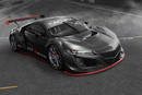 Une version Evo pour la NSX GT3