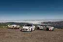 Jaguar XK120, Jaguar F-Type Checkered Flag Edition et F-Type Rally Car