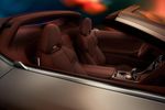 Concept BMW Skytop