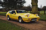 Lotus Elite V8 « Spyder Donnington » - Crédit photo : Bonhams