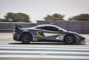 La McLaren 570S GT4 au Paul Ricard