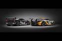 McLaren F1 GTR et P1 GTR