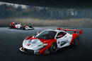 McLaren P1 GTR Senna Tribute par MSO