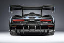 McLaren Senna