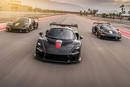 Trio de McLaren Senna XP par MSO