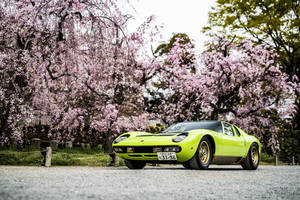 Lamborghini au Concours d'Élégance de Kyoto