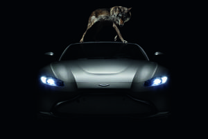 L'Aston Martin Vantage mise en images par Rankin