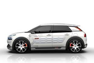 Concept C4 Cactus Airflow 2L