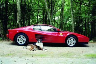 La Testarossa d'Alain Delon aux enchères