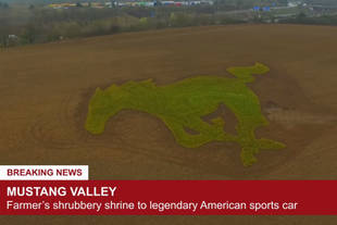 Il dessine le logo de la Ford Mustang dans son champ