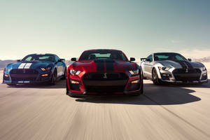 La Mustang Shelby GT500 arrive en Europe