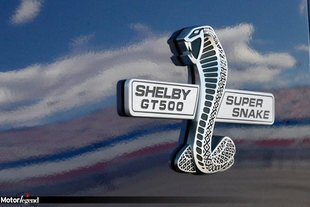 Shelby GT500 Super Snake : 800 ch à NY
