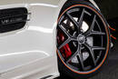 Mercedes-AMG GT Black Bison Edition - Crédit photo : Wald International
