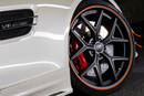 Mercedes-AMG GT Black Bison Edition - Crédit photo : Wald International
