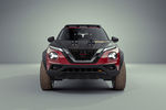 Nissan JUKE Rally Tribute Concept 