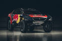 Peugeot 2008 DKR16 : en couleurs