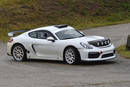 Concept Porsche Cayman GT4 Clubsport Rallye