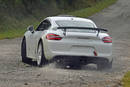 Concept Porsche Cayman GT4 Clubsport Rallye