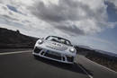 Porsche 911 Speedster Heritage Design