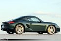 Porsche Cayman S 2009