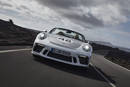 Porsche 911 Speedster Heritage Design Package