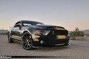 Nouveautés Shelby à Pebble Beach