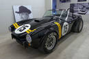 Shelby Cobra Sebring Tribute