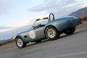 Shelby Cobra 289 FIA 2014