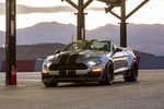 Mustang Shelby Super Snake Speedster