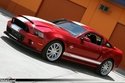 Mustang Shelby Super Snake : 850ch