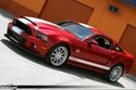 Shelby GT500 Super Snake 2013