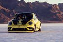 VW Beetle LSR