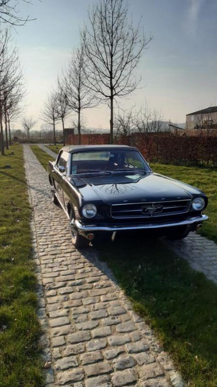 FORD MUSTANG I (1964-73) 4.3L V8 (260 ci) cabriolet Noir occasion - 42 000 €, 100 000 km