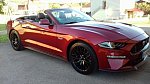 FORD MUSTANG VI (2015 - ...) GT 450 ch Pack Confort cabriolet Rouge foncé occasion