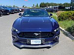 FORD MUSTANG VI (2015 - 2022) GT 450 ch cabriolet occasion - 53 900 €, 42 500 km