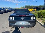 FORD MUSTANG VI (2015 - 2022) GT 450 ch cabriolet occasion - 51 900 €, 41 000 km