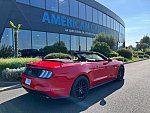 FORD MUSTANG VI (2015 - 2022) GT 450 ch cabriolet occasion - 48 900 €, 83 400 km