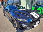 FORD MUSTANG Shelby GT500 coupé occasion - 149 900 €, 21 000 km