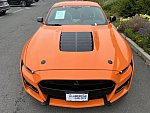 FORD MUSTANG VI (2015 - 2022) Shelby GT500 coupé occasion - 149 900 €, 20 600 km