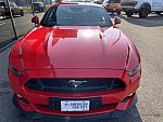 FORD MUSTANG VI (2015 - 2022) GT 421 ch coupé occasion - 45 900 €, 14 300 km