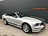 Occasion FORD MUSTANG V (2005-14) Serie 1 GT cabriolet Gris