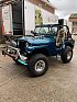 Occasion JEEP CJ5 4x4 Bleu