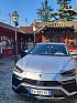 Occasion LAMBORGHINI URUS V8 4.0 SUV Blanc